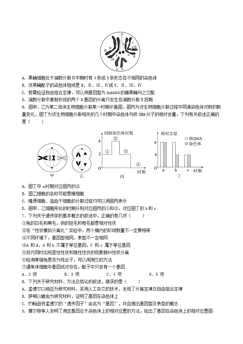 四川省成都市2023_2024学年高一生物下学期期末考试第2页