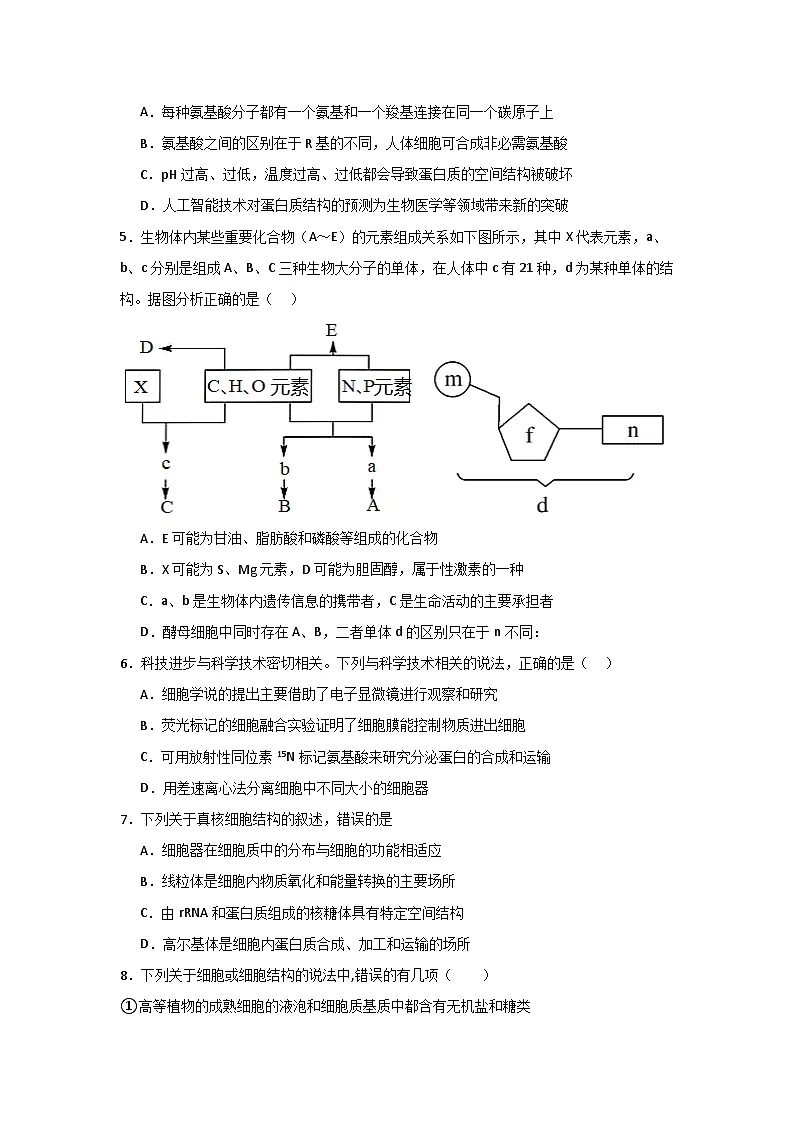 河南省信阳高级中学北湖校区2024-2025学年高二下期06月测试(一)生物试题第2页