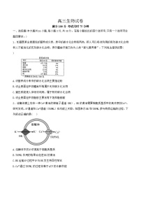 河南省商丘市2024-2025学年高三下学期5月期末生物试题