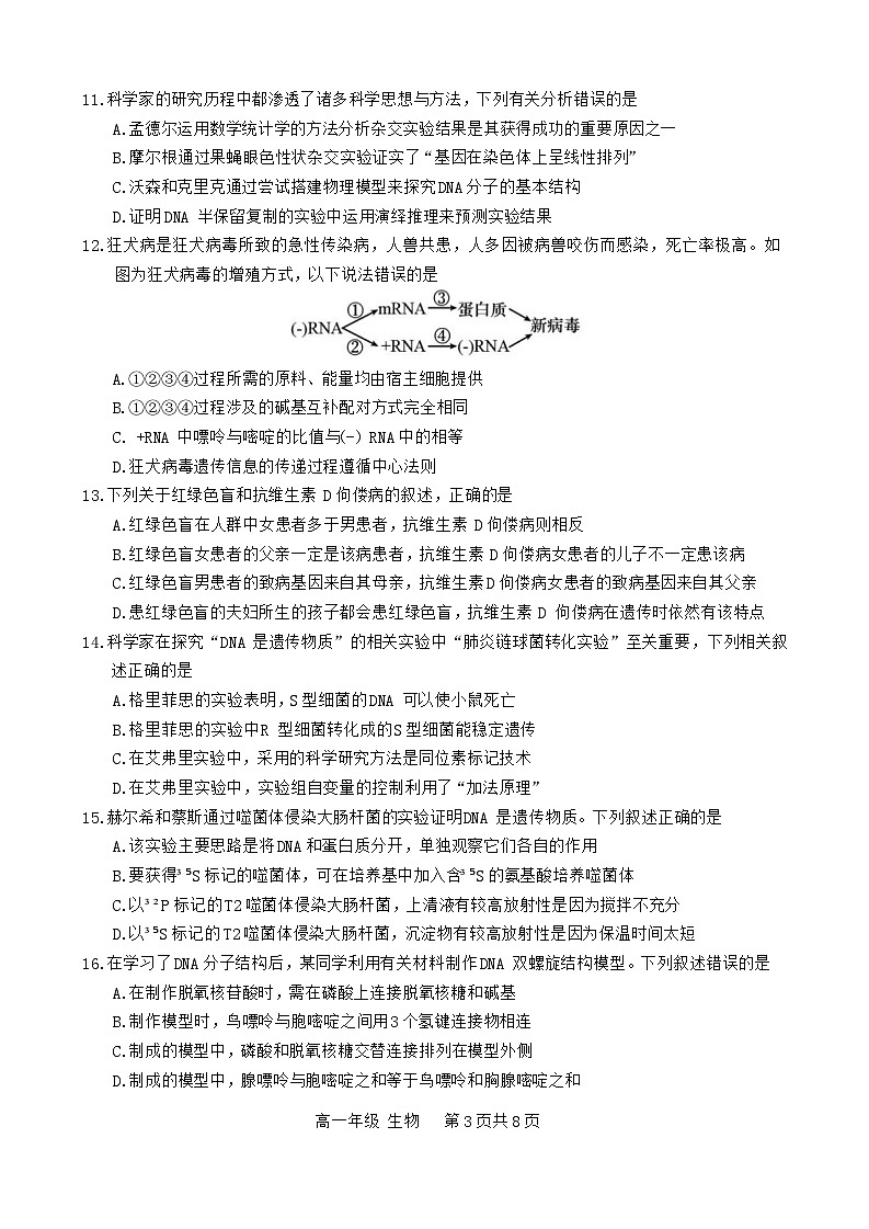 四川省宜宾市2023-2024学年高一下学期期末试题生物试题第3页