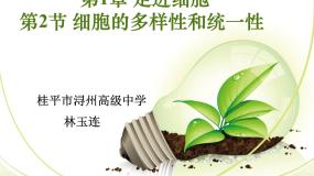 人教版 (新课标)必修1《分子与细胞》细胞的多样性和统一性多媒体教学ppt课件