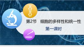 人教版 (新课标)必修1《分子与细胞》细胞的多样性和统一性教课内容课件ppt