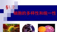 人教版 (新课标)必修1《分子与细胞》细胞的多样性和统一性教课内容ppt课件