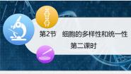 生物必修1《分子与细胞》细胞的多样性和统一性教学课件ppt