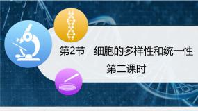 生物必修1《分子与细胞》细胞的多样性和统一性教学课件ppt