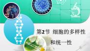 高中人教版 (新课标)细胞的多样性和统一性复习ppt课件