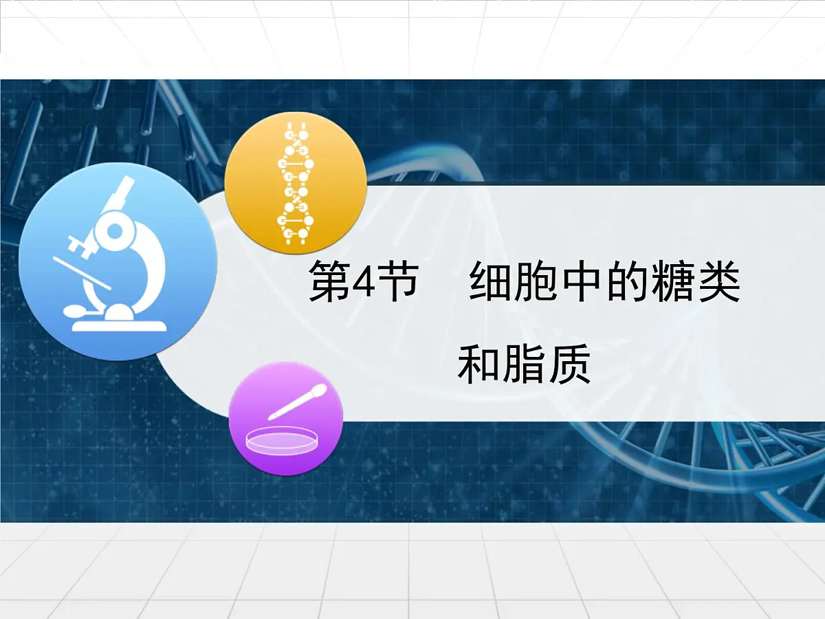 人教版 (新课标)高中生物必修1 2-4《细胞中的糖类和脂质》课件第1页