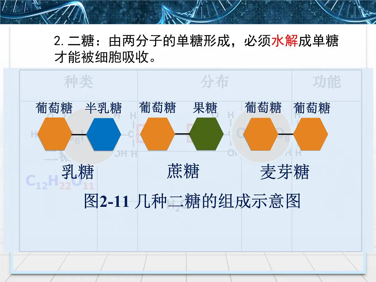 人教版 (新课标)高中生物必修1 2-4《细胞中的糖类和脂质》课件第6页