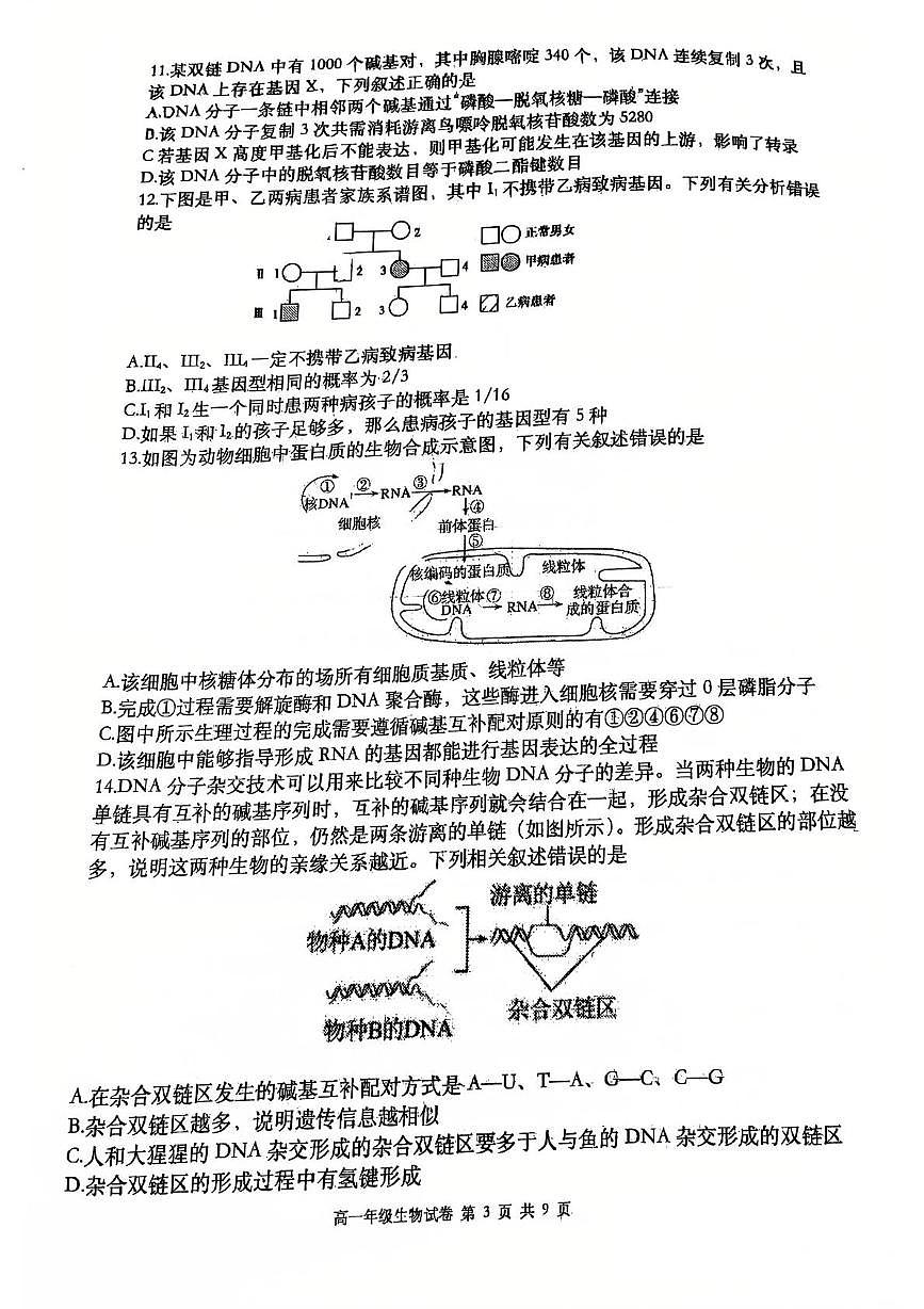 辽宁省大连市沙河口区大连市第八中学2024-2025学年高一下学期6月月考生物试题第3页