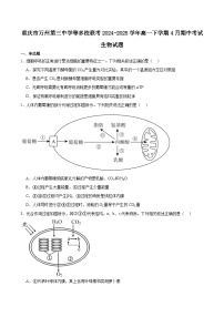 重庆市万州第三中学等多校联考2024-2025学年高一下学期4月期中考试生物试卷（Word版附答案）