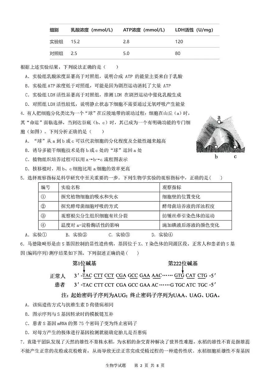 2025届四川省眉山市仁寿县四川省仁寿第一中学校南校区模拟预测生物试题第2页