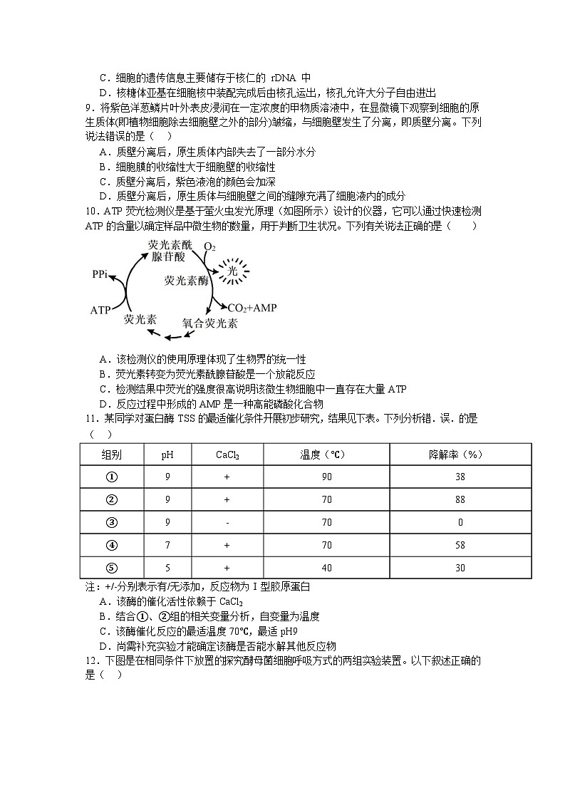 湖南省邵阳市第二中学、邵东一中等校联考2024-2025学年高一下学期5月诊断性测试生物试卷第3页