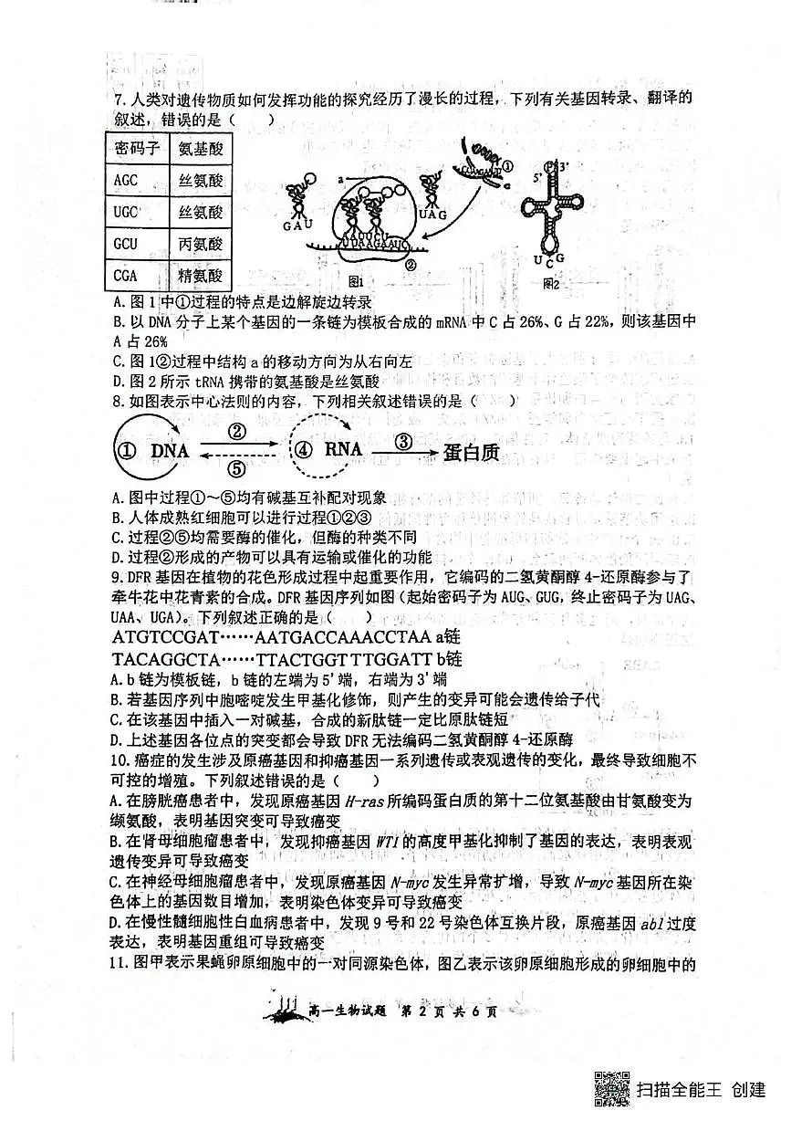 山西省山大附中2024-2025学年高一下学期5月月考生物试题第2页