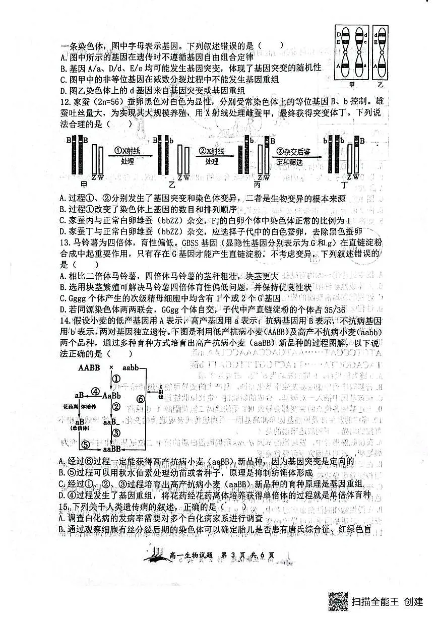 山西省山大附中2024-2025学年高一下学期5月月考生物试题第3页