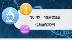 高中生物物质跨膜运输的实例教课内容ppt课件