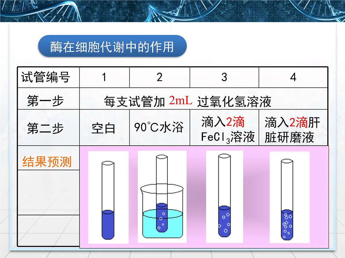 人教版 (新课标)高中生物必修1 5-1《降低化学反应活化能的酶》第1课时课件第6页