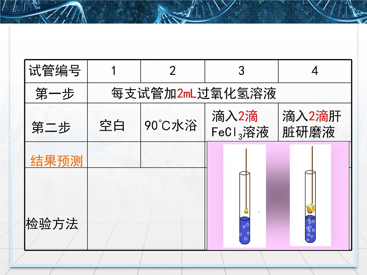 人教版 (新课标)高中生物必修1 5-1《降低化学反应活化能的酶》第1课时课件第7页