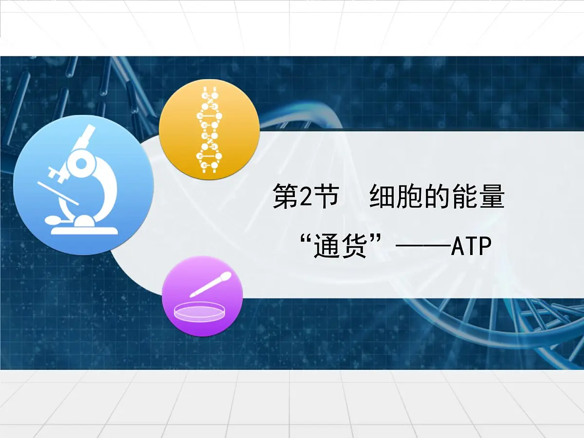 人教版 (新课标)高中生物必修1 5-2《细胞的能量“通货”——ATP》课件第1页