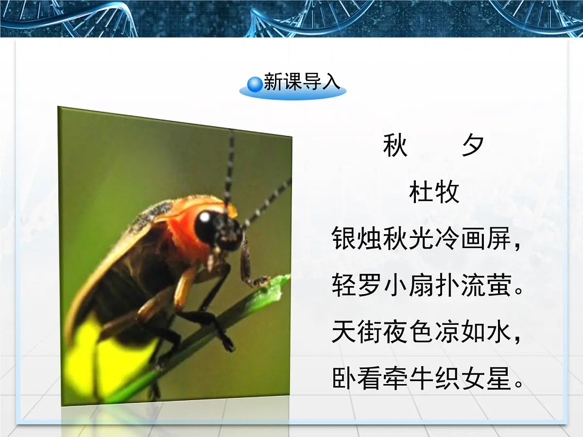 人教版 (新课标)高中生物必修1 5-2《细胞的能量“通货”——ATP》课件第2页