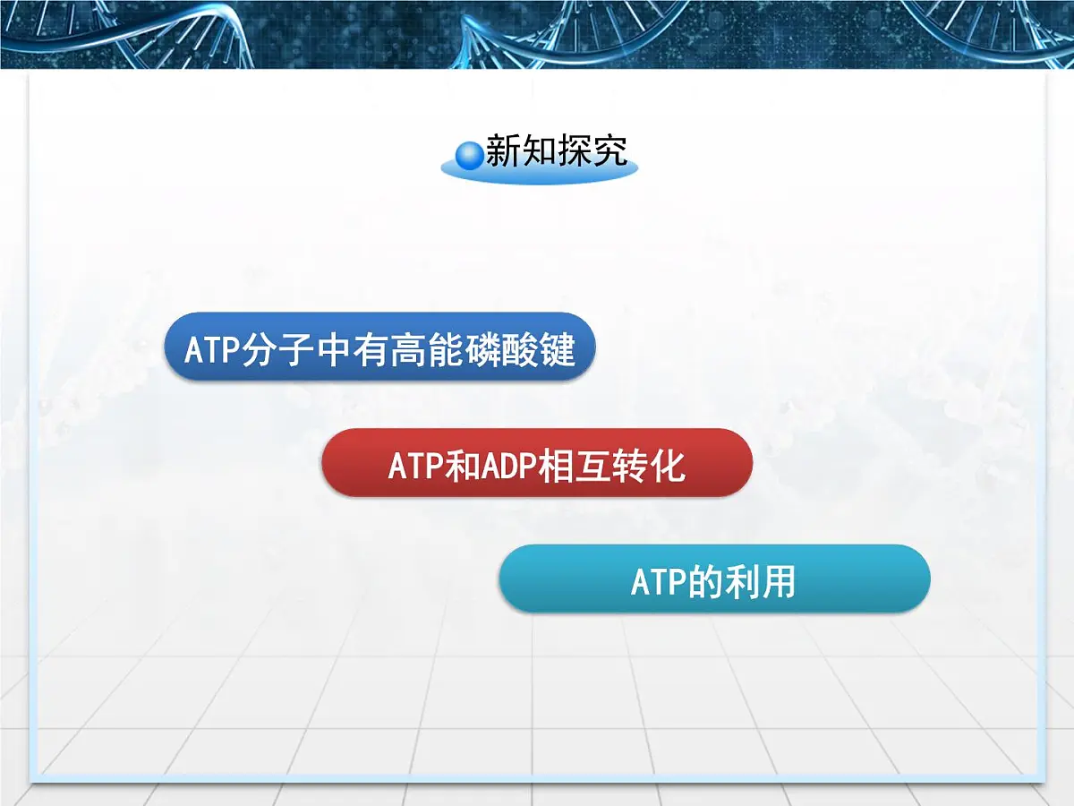 人教版 (新课标)高中生物必修1 5-2《细胞的能量“通货”——ATP》课件第6页