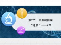 高中生物人教版 (新课标)必修1《分子与细胞》细胞的能量“通货”──ATP示范课课件ppt