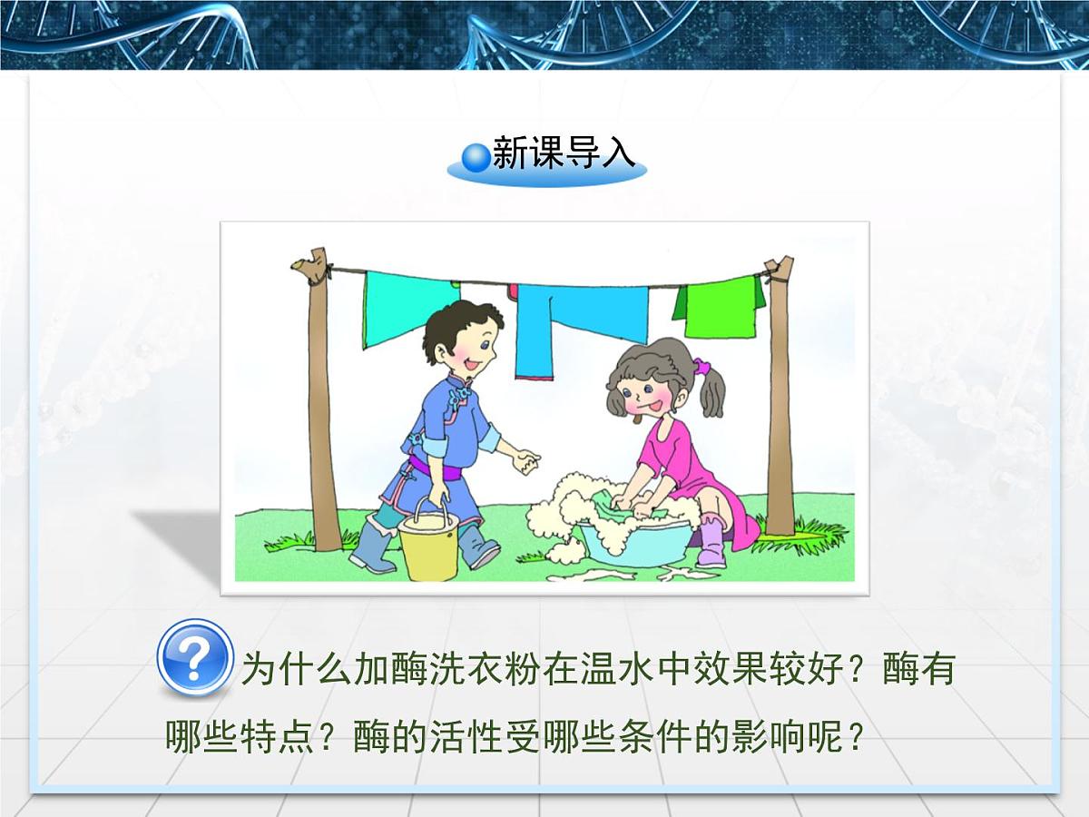人教版 (新课标)高中生物必修1 5-1《降低化学反应活化能的酶》第2课时课件第2页