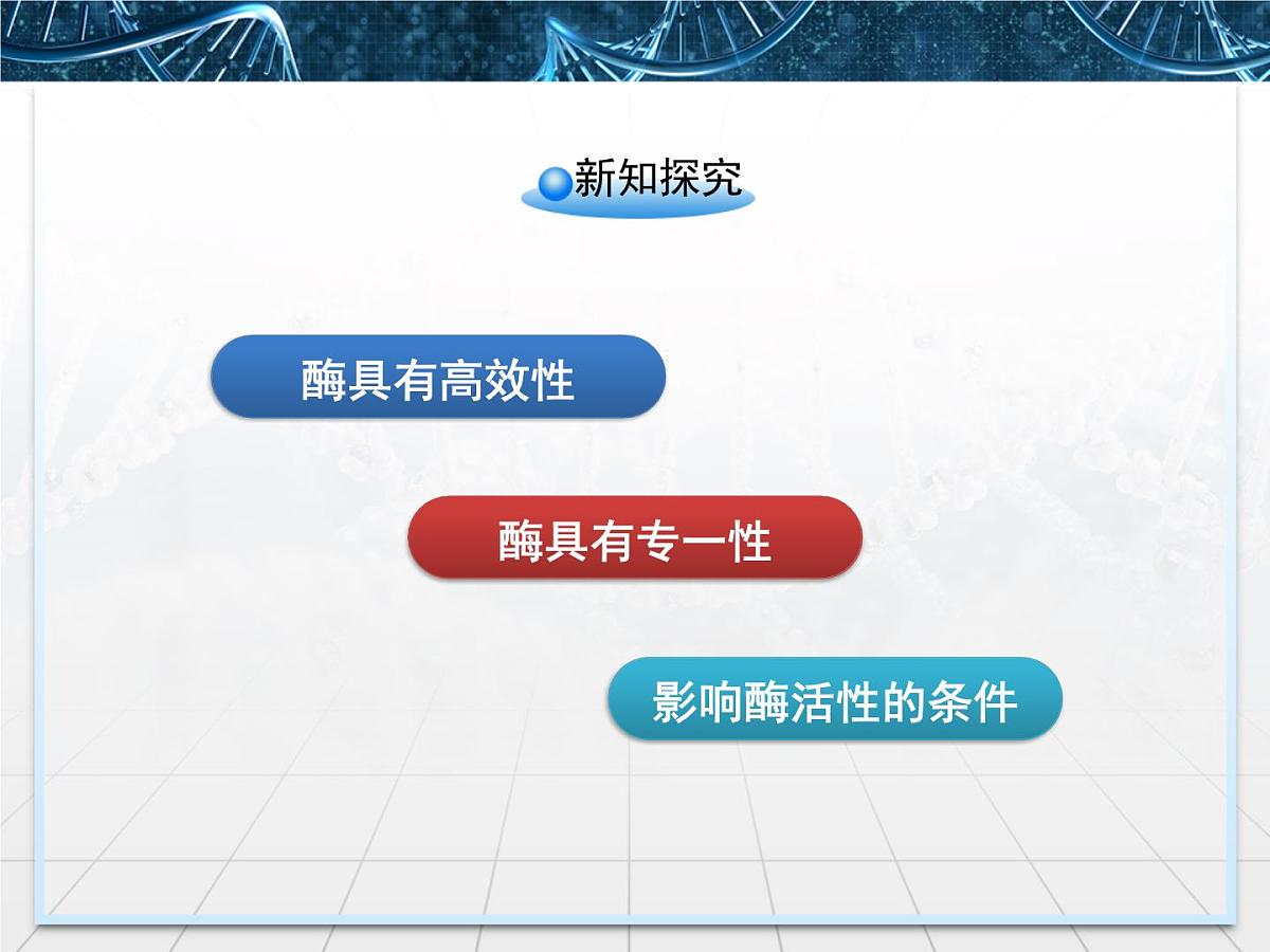 人教版 (新课标)高中生物必修1 5-1《降低化学反应活化能的酶》第2课时课件第4页