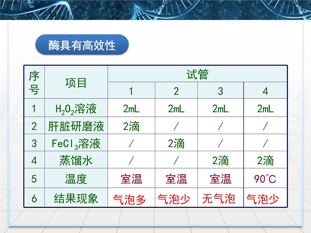 人教版 (新课标)高中生物必修1 5-1《降低化学反应活化能的酶》第2课时课件第5页