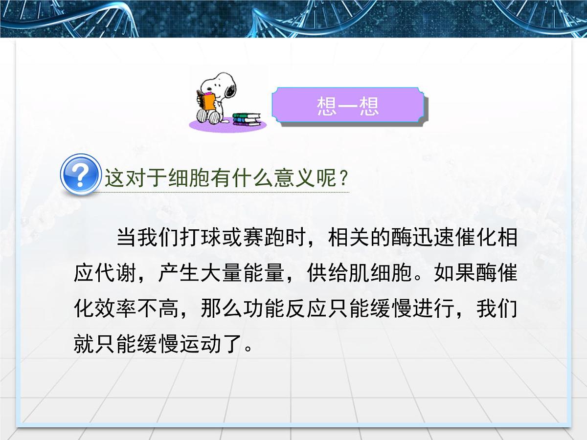 人教版 (新课标)高中生物必修1 5-1《降低化学反应活化能的酶》第2课时课件第8页