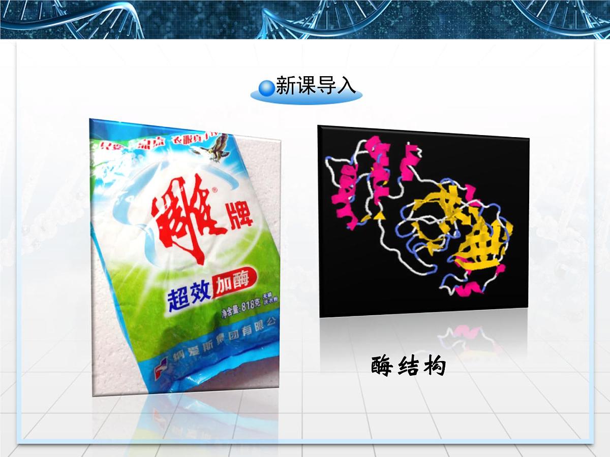人教版 (新课标)高中生物必修1 5-1《降低化学反应活化能的酶》第1课时课件第2页