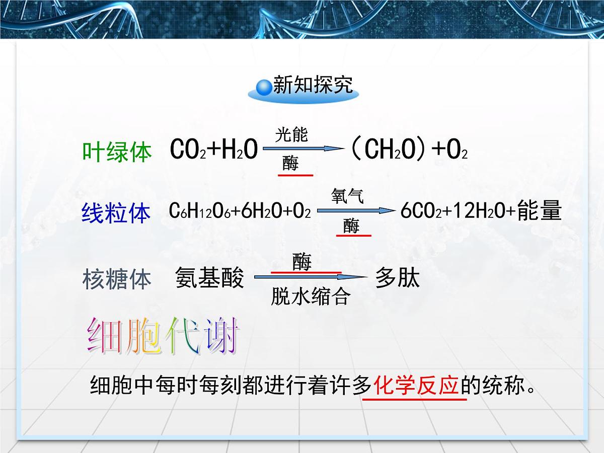 人教版 (新课标)高中生物必修1 5-1《降低化学反应活化能的酶》第1课时课件第6页