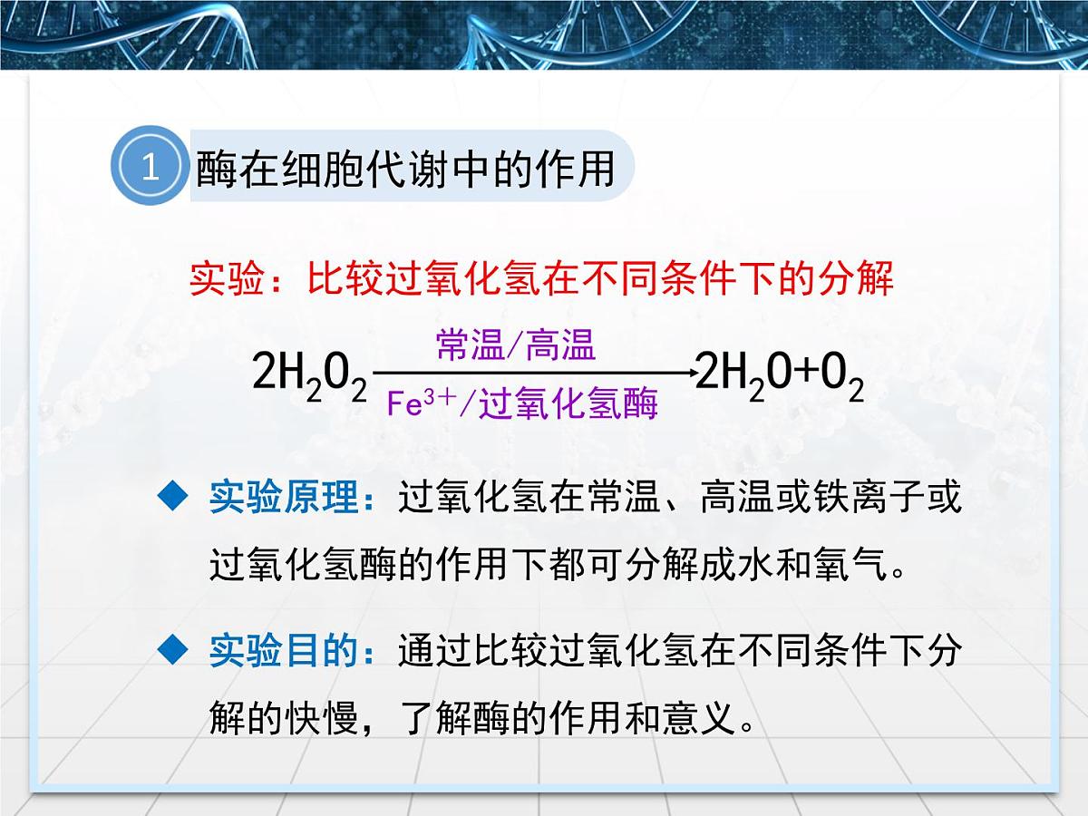 人教版 (新课标)高中生物必修1 5-1《降低化学反应活化能的酶》第1课时课件第7页