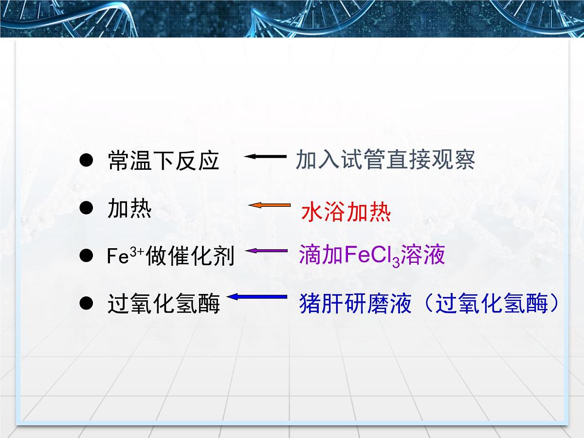 人教版 (新课标)高中生物必修1 5-1《降低化学反应活化能的酶》第1课时课件第8页