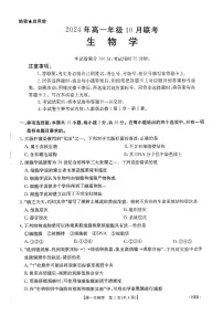 河北省沧州市沧县沧县中学2024-2025学年高一上学期10月月考生物试题