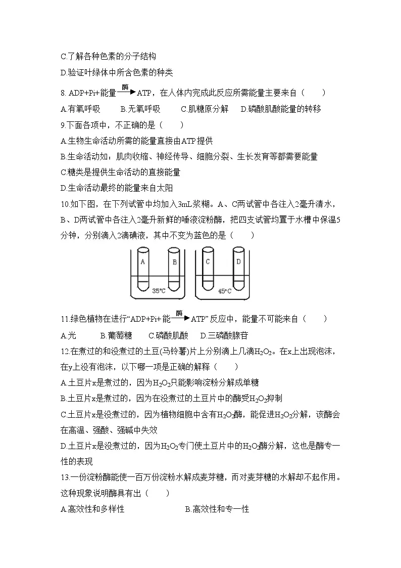 人教版 (新课标)高中生物 必修1 第五章《细胞的能量供应和利用》单元测试 无答案第2页