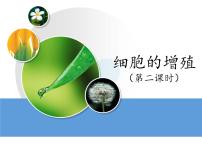 高中生物人教版 (新课标)必修1《分子与细胞》细胞的增殖教学演示ppt课件