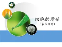 高中生物人教版 (新课标)必修1《分子与细胞》细胞的增殖教学演示ppt课件