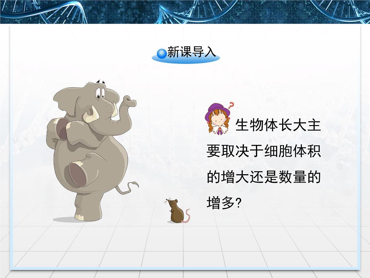 人教版 (新课标)高中生物 必修1 6-1《细胞的增殖》课件第2页