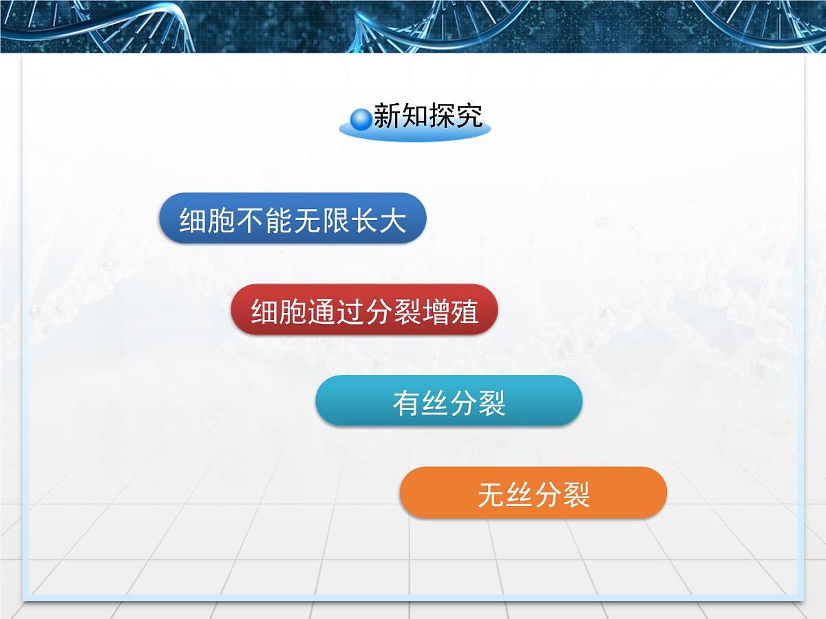 人教版 (新课标)高中生物 必修1 6-1《细胞的增殖》课件第4页