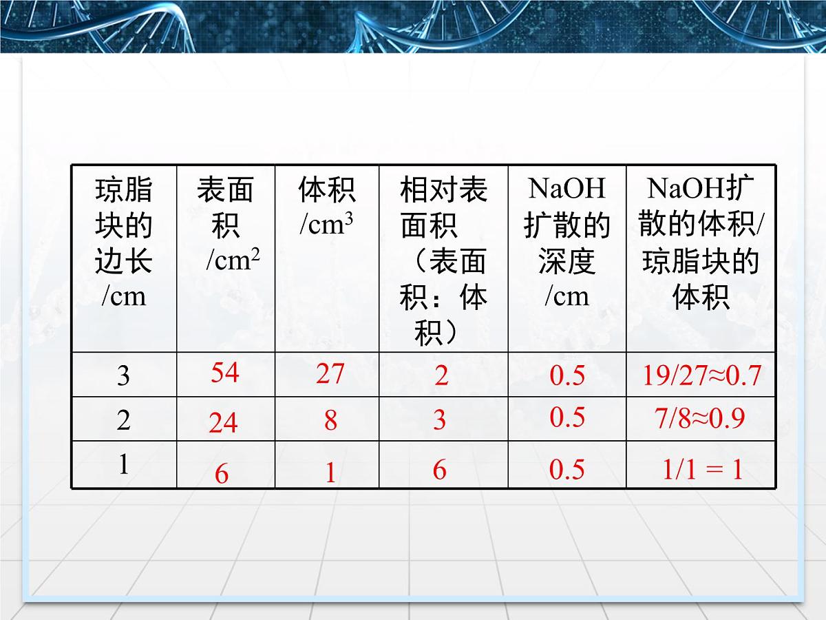 人教版 (新课标)高中生物 必修1 6-1《细胞的增殖》课件第8页
