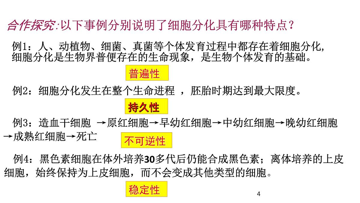 人教版 (新课标)高中生物 必修1 6-2《细胞的分化》课件第4页