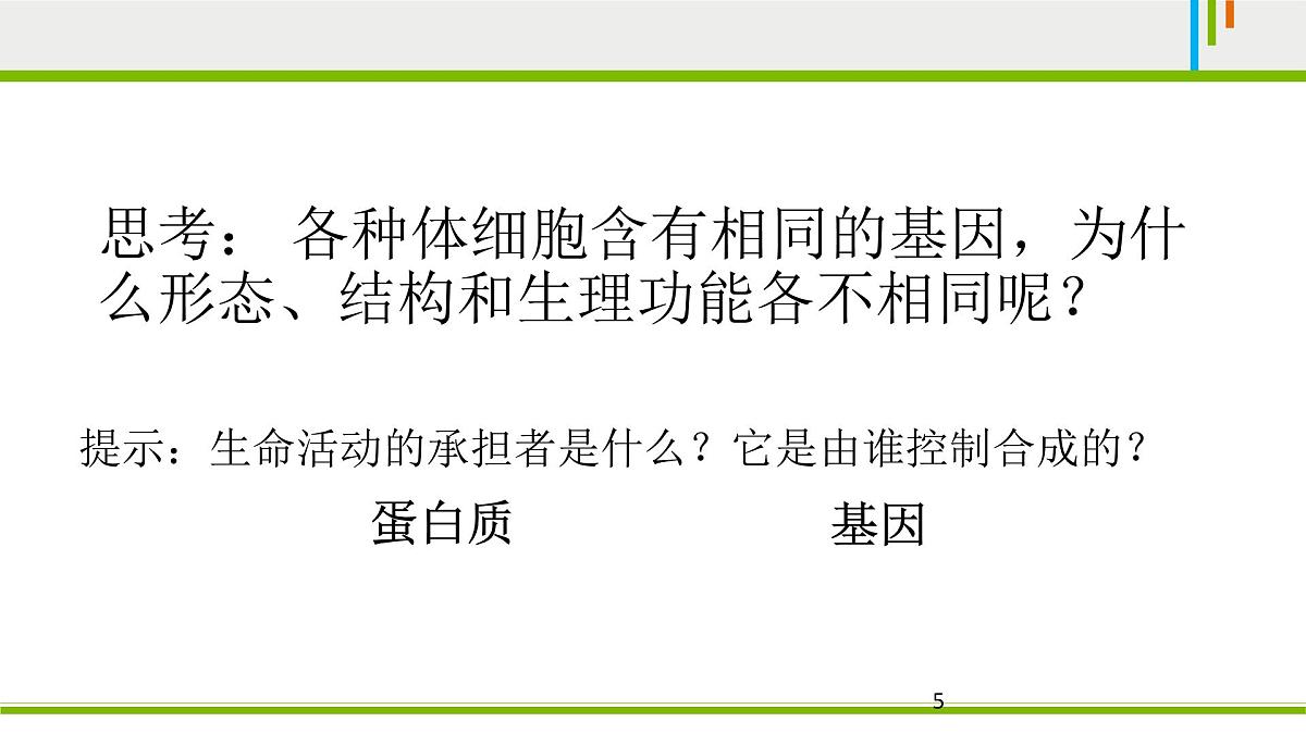 人教版 (新课标)高中生物 必修1 6-2《细胞的分化》课件第5页