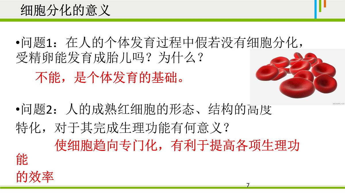 人教版 (新课标)高中生物 必修1 6-2《细胞的分化》课件第7页