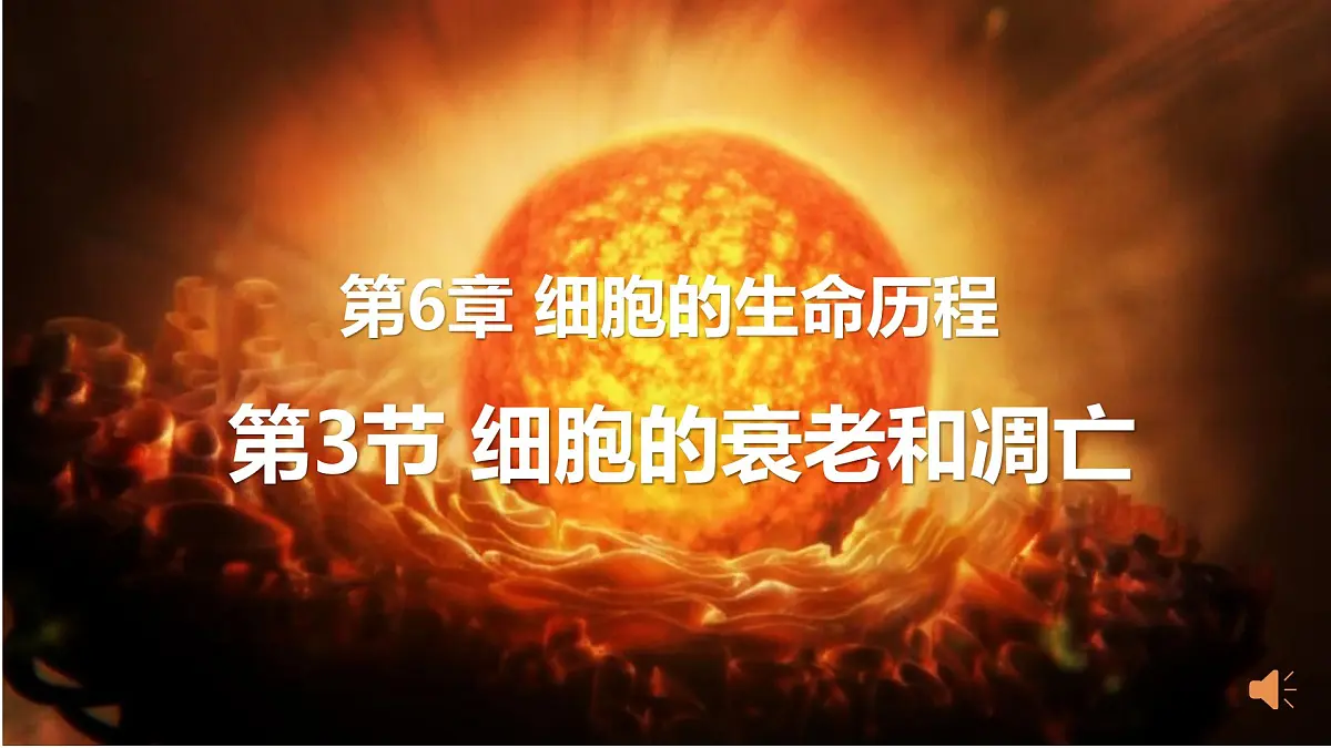 人教版 (新课标)高中生物 必修1 6-3《细胞的衰老和凋亡》课件第1页