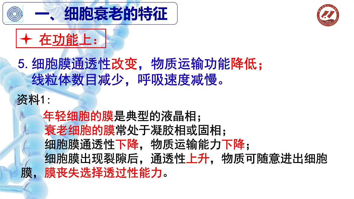 人教版 (新课标)高中生物 必修1 6-3《细胞的衰老和凋亡》课件第7页