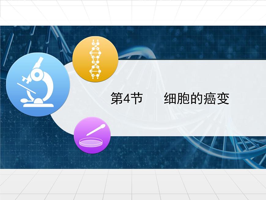 人教版 (新課標)高中生物 必修1 6-4《細胞的癌變》課件第1頁