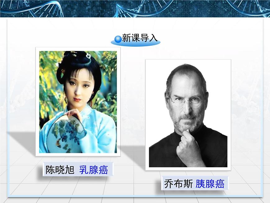人教版 (新課標)高中生物 必修1 6-4《細胞的癌變》課件第2頁