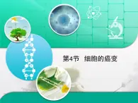 人教版 (新課標(biāo))高中生物 必修1 6-4《細(xì)胞的癌變》復(fù)習(xí)課件