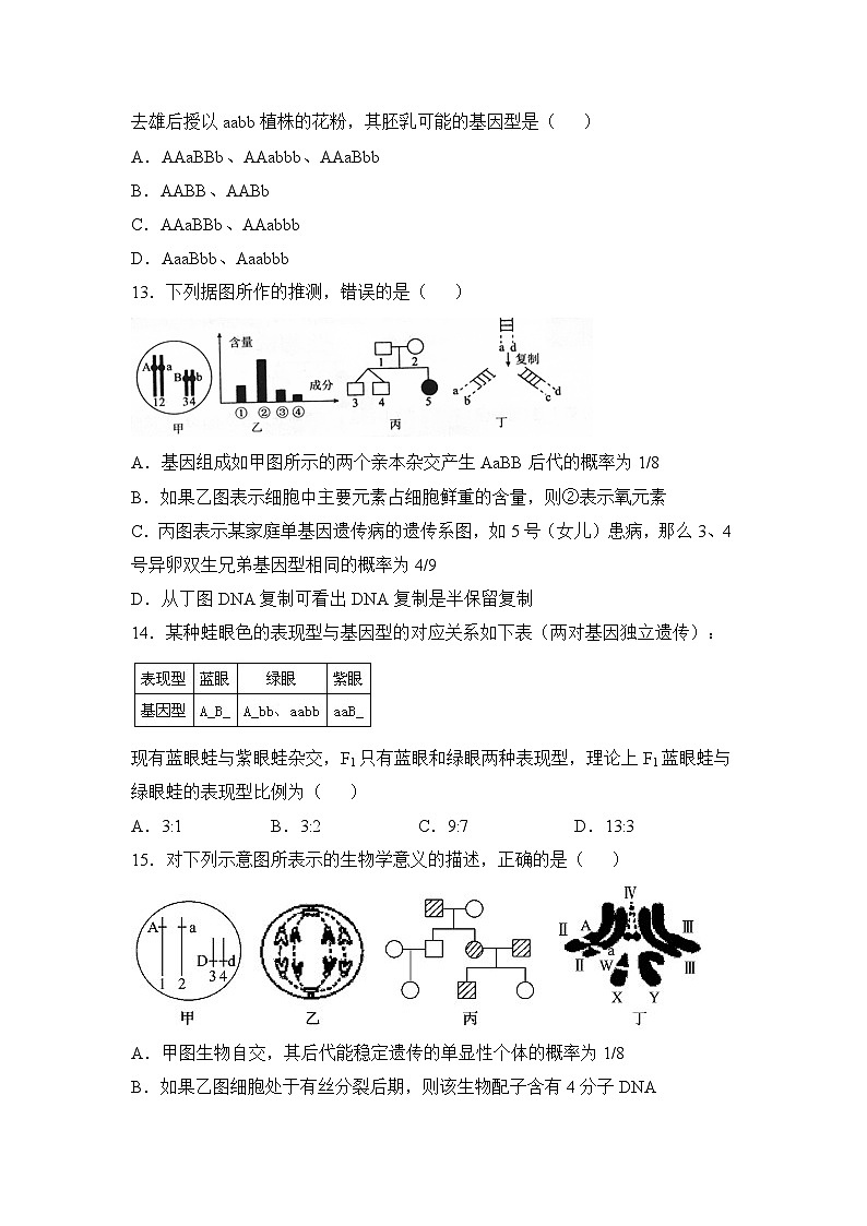 人教版 (新課標(biāo))高中生物 必修2 第一章《遺傳因子的發(fā)現(xiàn)》檢測題（一） 無答案第3頁
