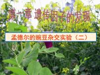 人教版 (新课标)必修2《遗传与进化》孟德尔的豌豆杂交实验(二)课堂教学课件ppt